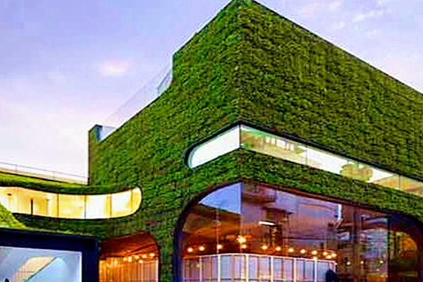 節(jié)能監(jiān)測系統(tǒng)助力節(jié)約型綠色校園建立！