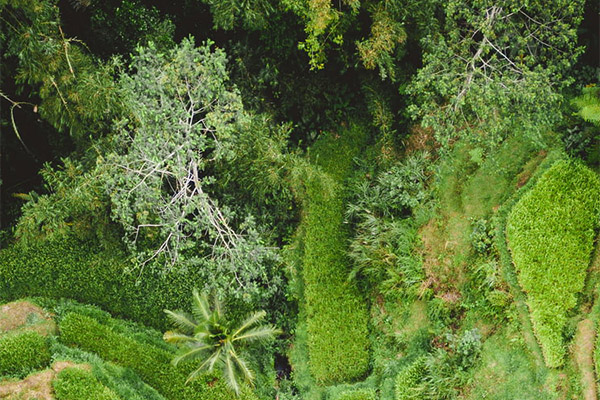 極端熱浪持續(xù)沖擊全球能源系統(tǒng)，中央空調(diào)系統(tǒng)顯身手！