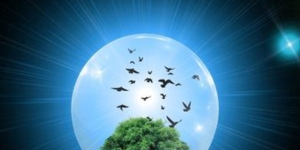 智能照明系統(tǒng)-節(jié)能減排-綠色發(fā)展.png 智能照明系統(tǒng)-節(jié)能減排-綠色發(fā)展.png