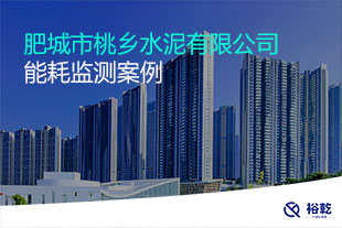 肥城市桃鄉(xiāng)水泥有限公司能耗監(jiān)測案例
